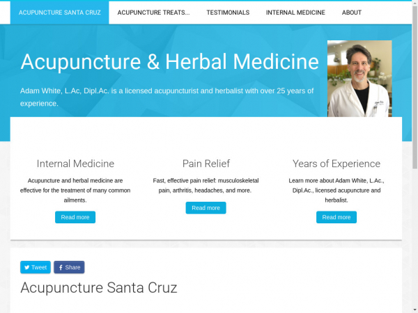 acupuncturemedicine.net