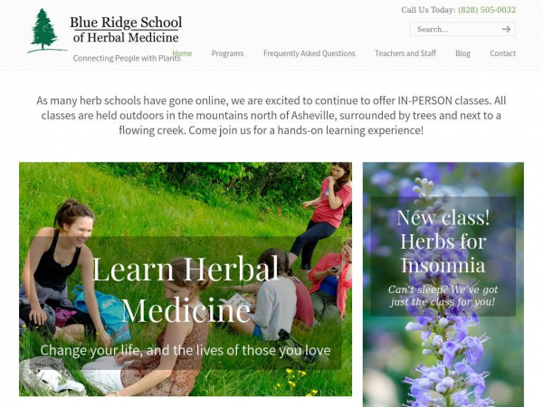 blueridgeschool.org