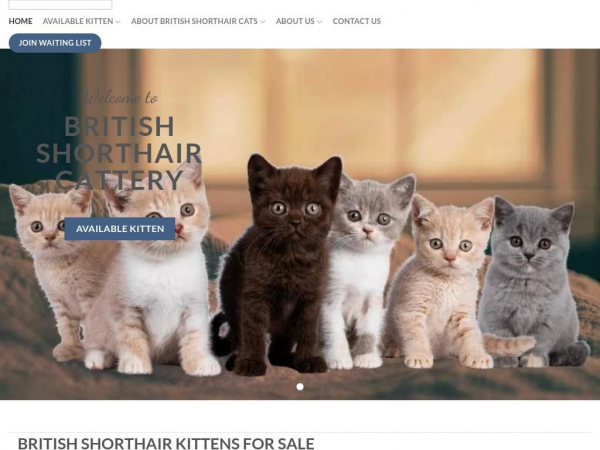 britishshorthairkittyhome.com