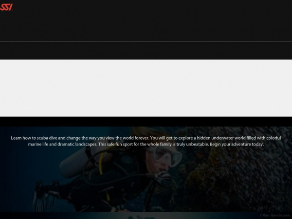divessi.com