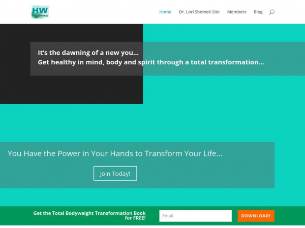dlshealthworks.com