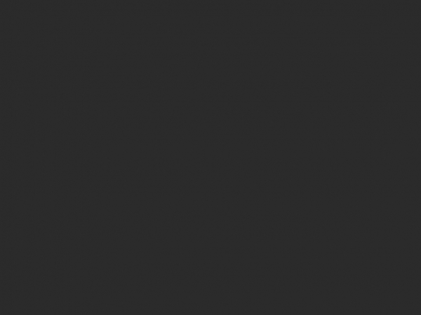 flaggassociates.com