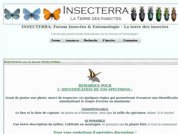 insecterra.forumactif.com