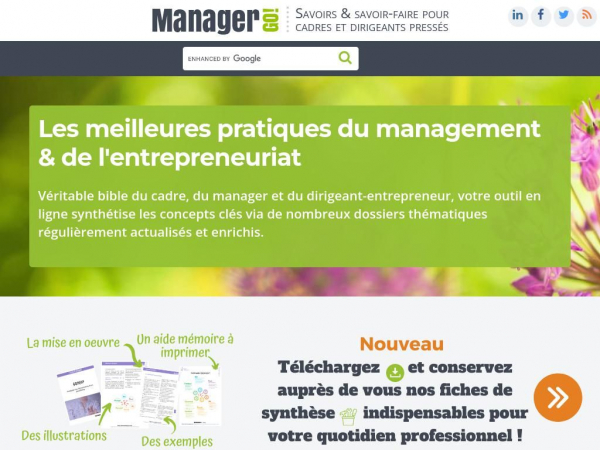 manager-go.com