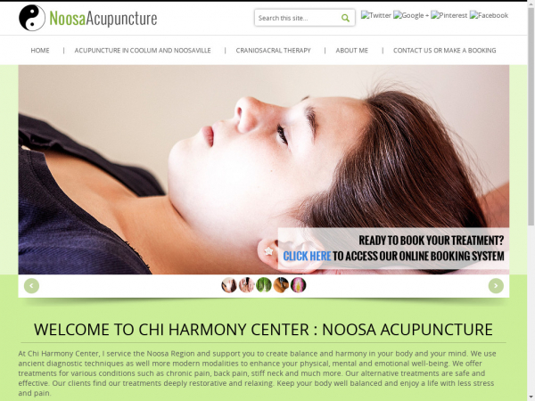 noosaacupuncture.com