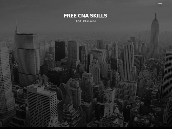 onlinecnaskills.com