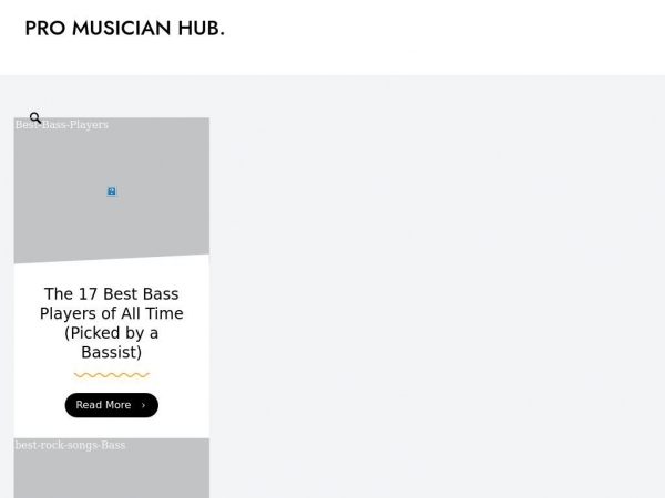 promusicianhub.com