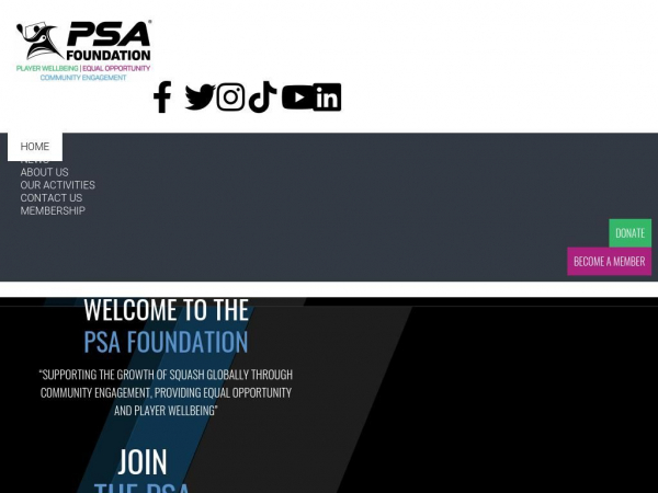 psafoundation.com