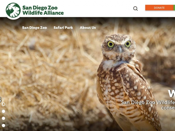 sdzsafaripark.org