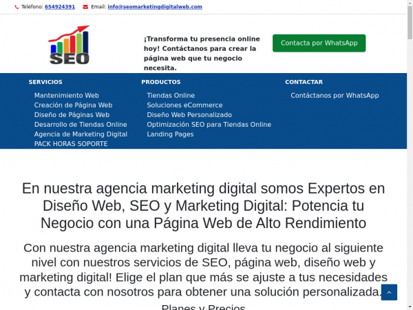 seomarketingdigitalweb.com