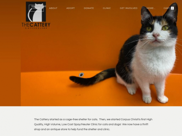 thecatterycc.org