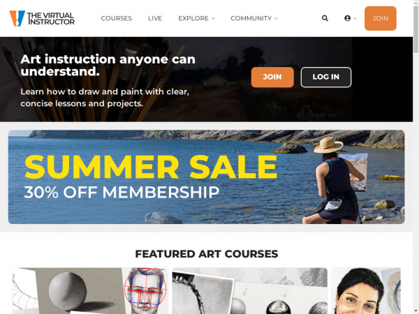 thevirtualinstructor.com