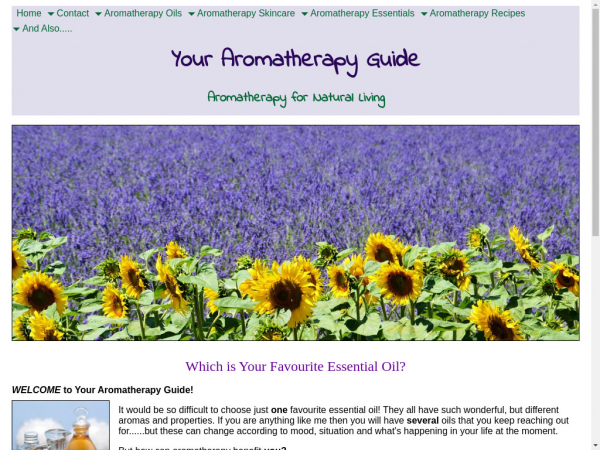 your-aromatherapy-guide.com