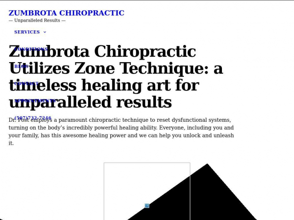 zumbrotachiropractic.com